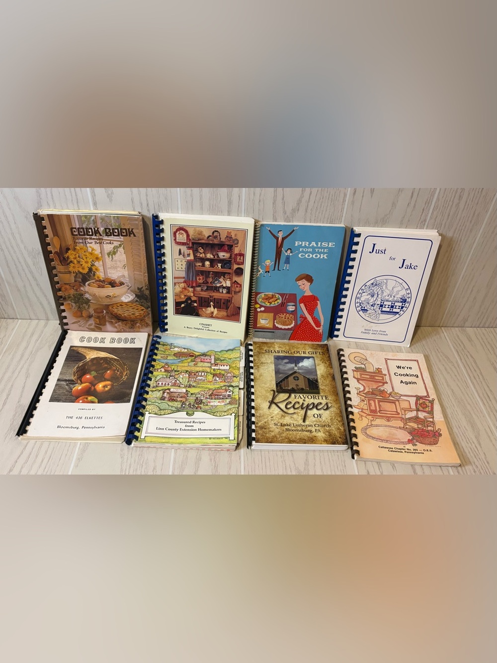 Lot of 8 Community Cookbook Recipe Spiral Bound Church Women Auxiliary